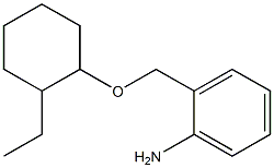 2-{[(2-ethylcyclohexyl)oxy]methyl}aniline Struktur