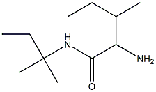 2-amino-N-(1,1-dimethylpropyl)-3-methylpentanamide Struktur