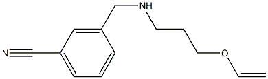 3-({[3-(ethenyloxy)propyl]amino}methyl)benzonitrile Struktur