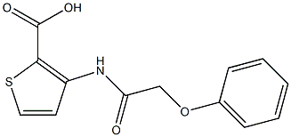 3-(2-phenoxyacetamido)thiophene-2-carboxylic acid Struktur