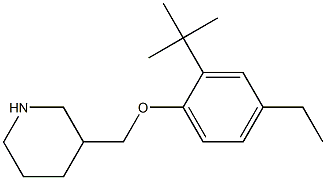 3-(2-tert-butyl-4-ethylphenoxymethyl)piperidine Struktur