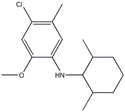 4-chloro-N-(2,6-dimethylcyclohexyl)-2-methoxy-5-methylaniline Struktur