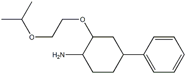 4-phenyl-2-[2-(propan-2-yloxy)ethoxy]cyclohexan-1-amine Struktur