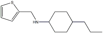 4-propyl-N-(thiophen-2-ylmethyl)cyclohexan-1-amine Struktur