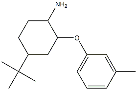 4-tert-butyl-2-(3-methylphenoxy)cyclohexan-1-amine Struktur