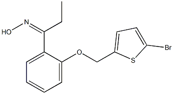 N-(1-{2-[(5-bromothiophen-2-yl)methoxy]phenyl}propylidene)hydroxylamine Struktur