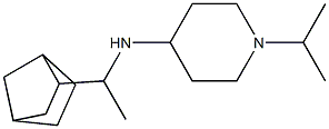 N-(1-{bicyclo[2.2.1]heptan-2-yl}ethyl)-1-(propan-2-yl)piperidin-4-amine Struktur