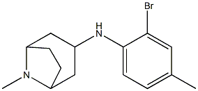 N-(2-bromo-4-methylphenyl)-8-methyl-8-azabicyclo[3.2.1]octan-3-amine Struktur