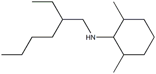 N-(2-ethylhexyl)-2,6-dimethylcyclohexan-1-amine Struktur