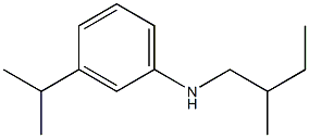 N-(2-methylbutyl)-3-(propan-2-yl)aniline Struktur