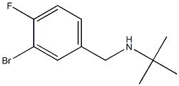 N-(3-bromo-4-fluorobenzyl)-N-(tert-butyl)amine Struktur