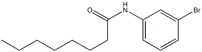 N-(3-bromophenyl)octanamide Struktur