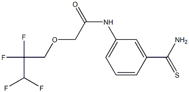 N-(3-carbamothioylphenyl)-2-(2,2,3,3-tetrafluoropropoxy)acetamide Struktur