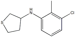 N-(3-chloro-2-methylphenyl)thiolan-3-amine Struktur