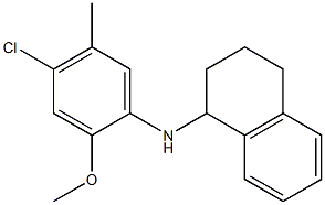 N-(4-chloro-2-methoxy-5-methylphenyl)-1,2,3,4-tetrahydronaphthalen-1-amine Struktur