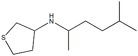 N-(5-methylhexan-2-yl)thiolan-3-amine Struktur