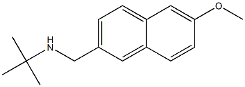 N-(tert-butyl)-N-[(6-methoxy-2-naphthyl)methyl]amine Struktur