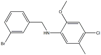 N-[(3-bromophenyl)methyl]-4-chloro-2-methoxy-5-methylaniline Struktur