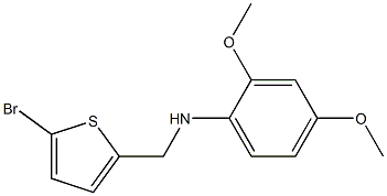 N-[(5-bromothiophen-2-yl)methyl]-2,4-dimethoxyaniline Struktur