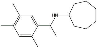 N-[1-(2,4,5-trimethylphenyl)ethyl]cycloheptanamine Struktur