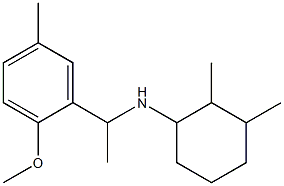 N-[1-(2-methoxy-5-methylphenyl)ethyl]-2,3-dimethylcyclohexan-1-amine Struktur