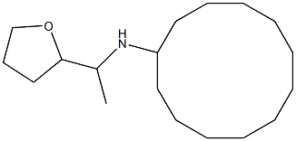 N-[1-(oxolan-2-yl)ethyl]cyclododecanamine Struktur