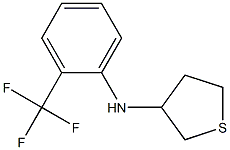 N-[2-(trifluoromethyl)phenyl]thiolan-3-amine Struktur