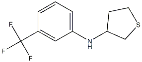 N-[3-(trifluoromethyl)phenyl]thiolan-3-amine Struktur