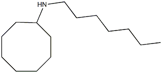 N-heptylcyclooctanamine Struktur