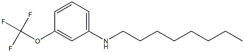 N-octyl-3-(trifluoromethoxy)aniline Struktur