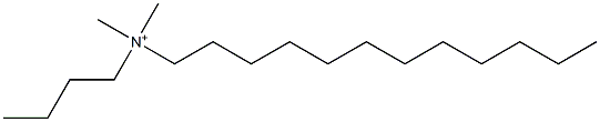 N-Butyl-N,N-dimethyl-1-dodecanaminium Struktur