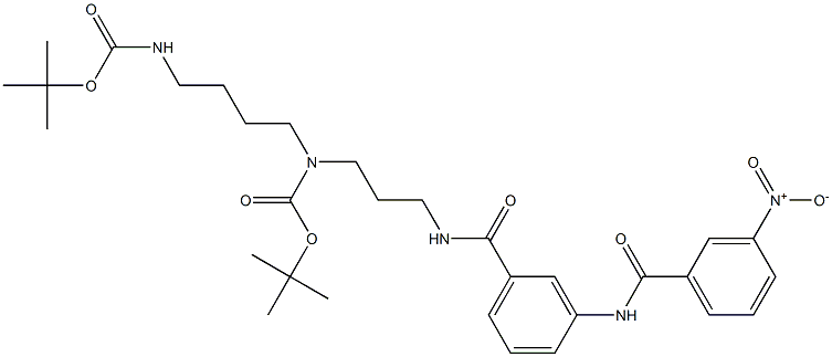 3-[[3-Nitrobenzoyl]amino]-N-[3-[(tert-butoxycarbonyl)[4-(tert-butoxycarbonylamino)butyl]amino]propyl]benzamide Struktur