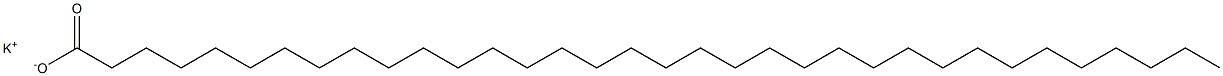 Tetratriacontanoic acid potassium salt Struktur