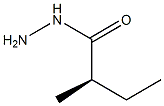 [R,(-)]-2-Methylbutyric acid hydrazide Struktur