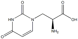 (S)-WILLARDIINE, >98% Struktur