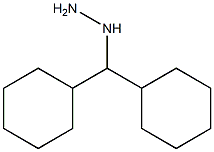 1-(dicyclohexylmethyl)hydrazine Struktur