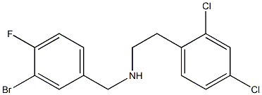 [(3-bromo-4-fluorophenyl)methyl][2-(2,4-dichlorophenyl)ethyl]amine Struktur