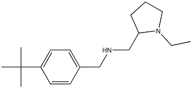 [(4-tert-butylphenyl)methyl][(1-ethylpyrrolidin-2-yl)methyl]amine Struktur