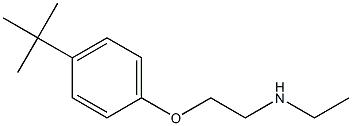 [2-(4-tert-butylphenoxy)ethyl](ethyl)amine Struktur