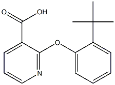 2-(2-tert-butylphenoxy)pyridine-3-carboxylic acid Struktur