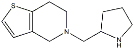 2-{4H,5H,6H,7H-thieno[3,2-c]pyridin-5-ylmethyl}pyrrolidine Struktur