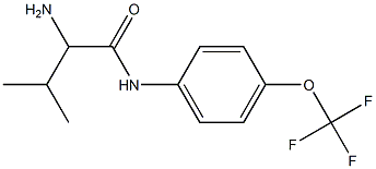 2-amino-3-methyl-N-[4-(trifluoromethoxy)phenyl]butanamide Struktur