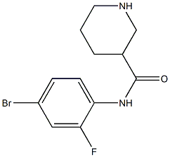 N-(4-bromo-2-fluorophenyl)piperidine-3-carboxamide Struktur