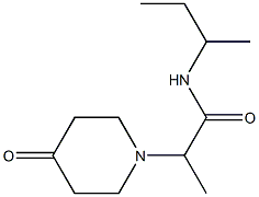 N-(butan-2-yl)-2-(4-oxopiperidin-1-yl)propanamide Struktur