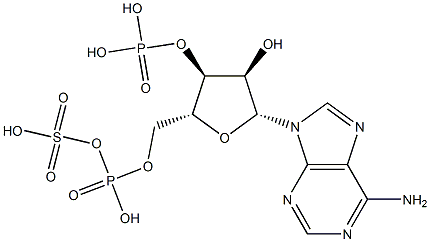 ADENOSINE3'-PHOSPHATE5'-PHOSPHOSULPHATE Struktur