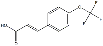 (2E)-3-[4-(trifluoromethoxy)phenyl]acrylic acid Struktur