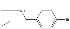 [(4-bromophenyl)methyl](2-methylbutan-2-yl)amine Struktur