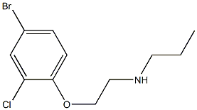 [2-(4-bromo-2-chlorophenoxy)ethyl](propyl)amine Struktur