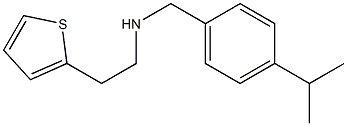 {[4-(propan-2-yl)phenyl]methyl}[2-(thiophen-2-yl)ethyl]amine Struktur