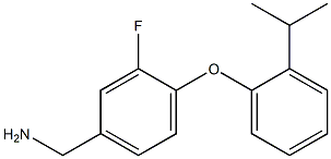 {3-fluoro-4-[2-(propan-2-yl)phenoxy]phenyl}methanamine Struktur